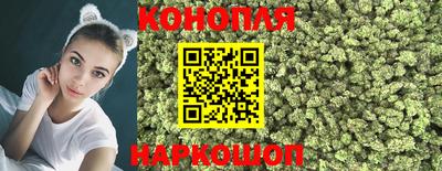 тгк Аргун