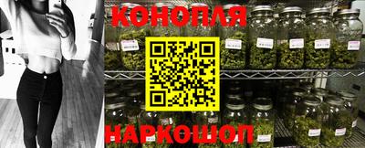 тгк Аргун