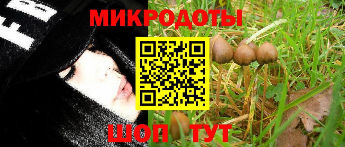 Асбест  Псилоцибиновые грибы Psilocybe  Вход с VPN 